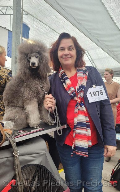 Int. Dogshow KV Rijnland te Hazerswoude, 19-03-2023
