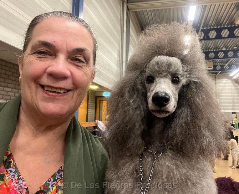 Nederlandse poedelclubmatch in Woudenberg (15-10-2023)