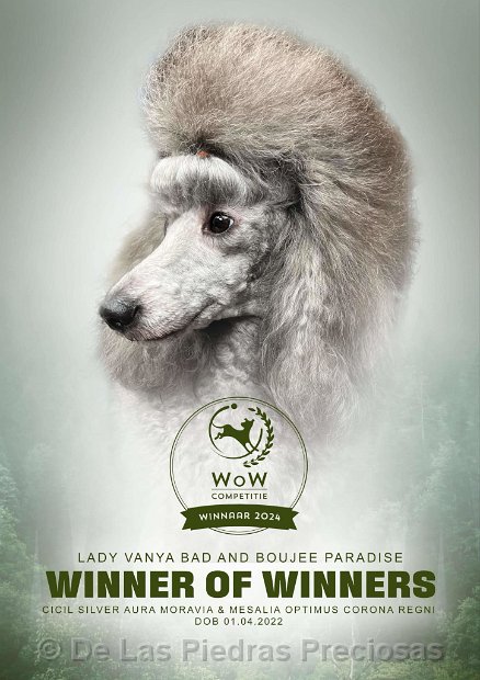 2024_WOW_Vayen_Poster