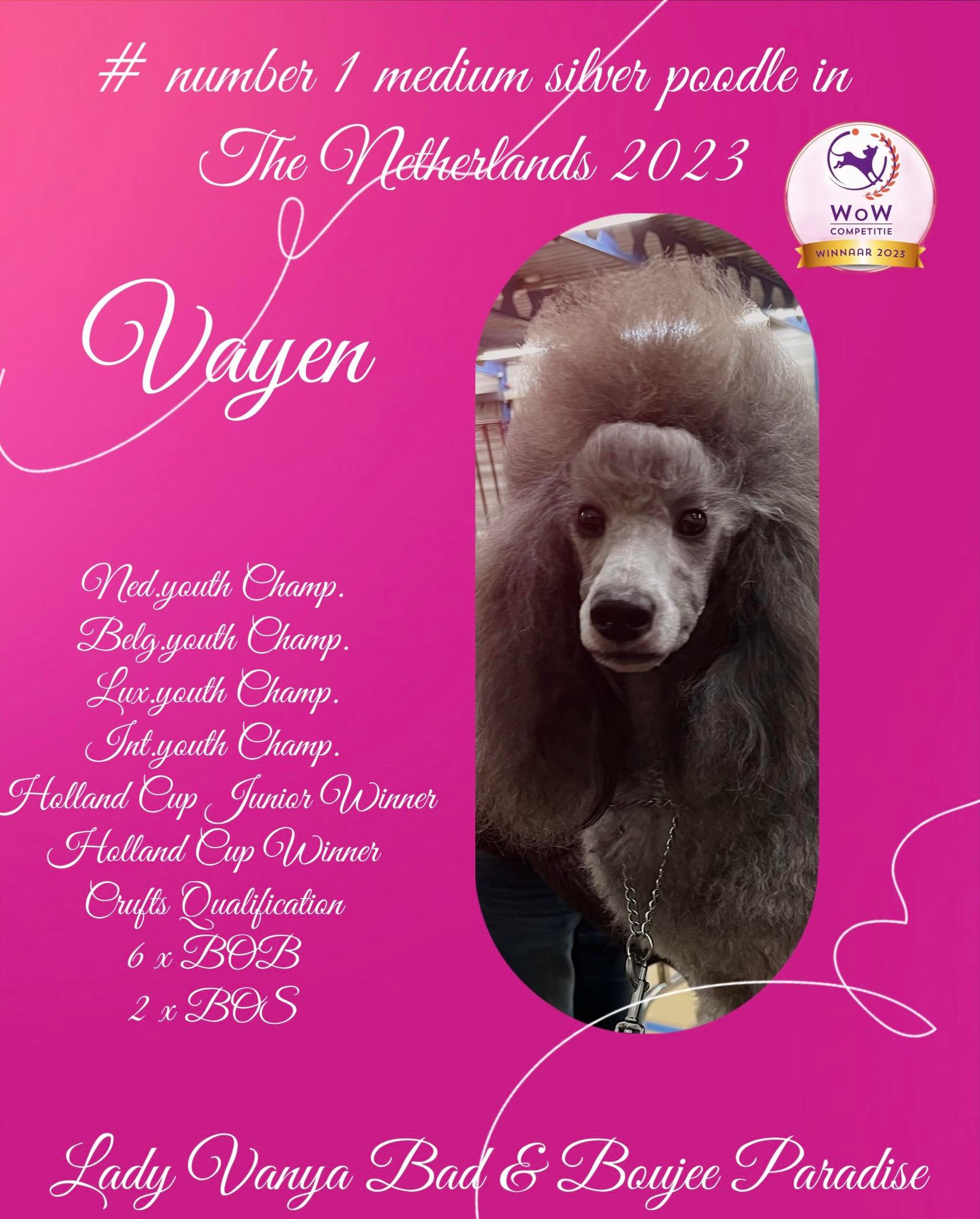 Vayen 1e plaats in de WOW Competitie 2023 (Winners Of Winners competition)