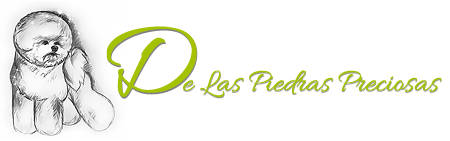 De Las Piedras Precoiosas