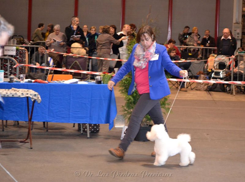 42e Schaal der Kempen (België), 2de plaats Uitmuntend