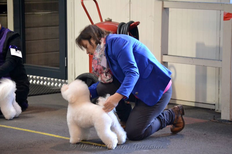 42e Schaal der Kempen (België), 2de plaats Uitmuntend
