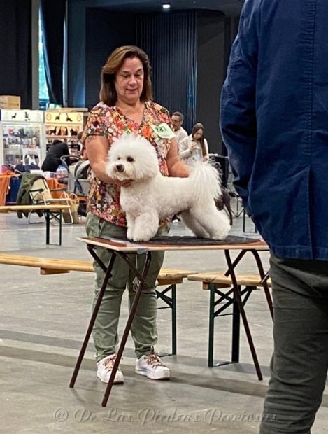 Lennox op de Dogshow Rotterdam, 28 augustus 2022