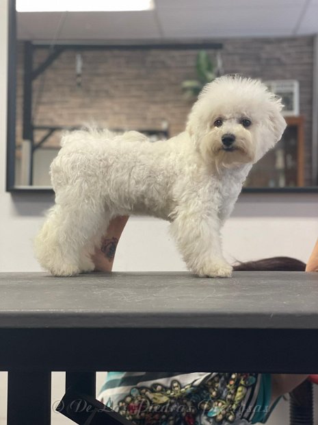 65311f07-c7f1-48fe-8c30-45953efb1784