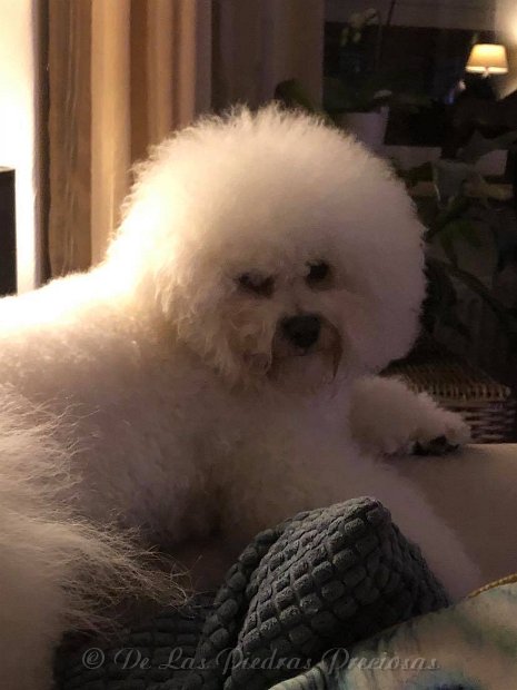 143521280_888647538615390_8522251190262495488_n