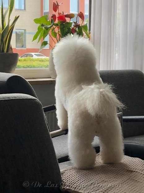 143942252_686026302064469_5897415823828588235_n