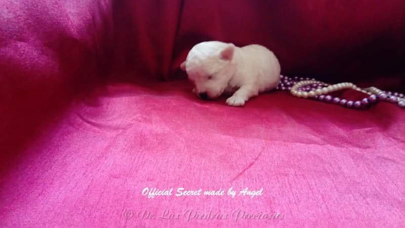 received_10216064050414259