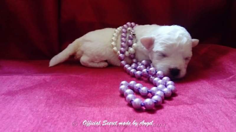 received_10216064051094276