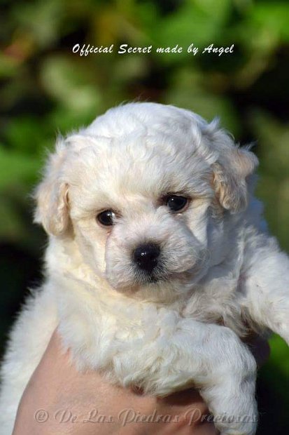 received_10216256249619119