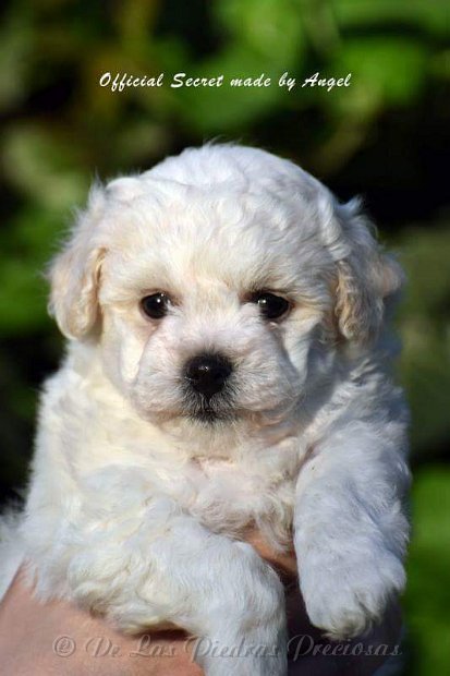 received_10216256249699121