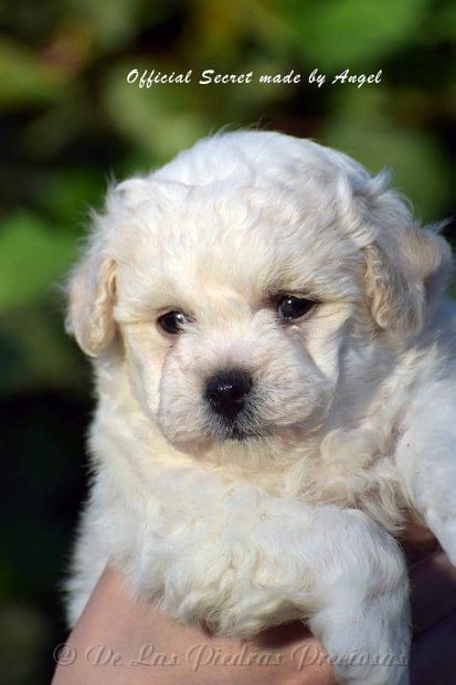 received_10216256250019129