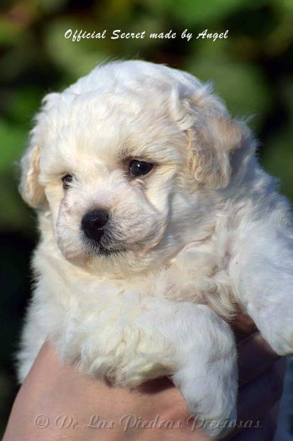 received_10216256250259135