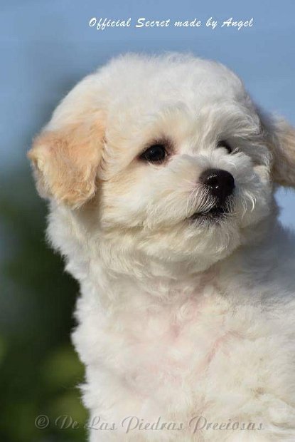 received_10216567045068811