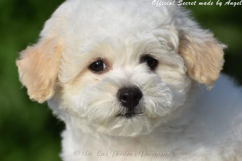 received_10216567045388819