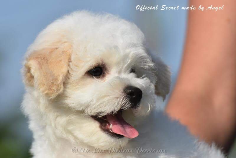 received_10216567045548823