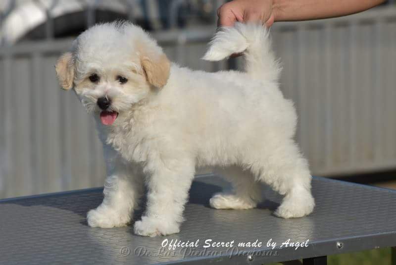 received_10216567045628825