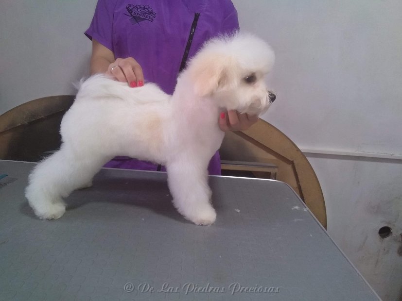 received_10216963780466948