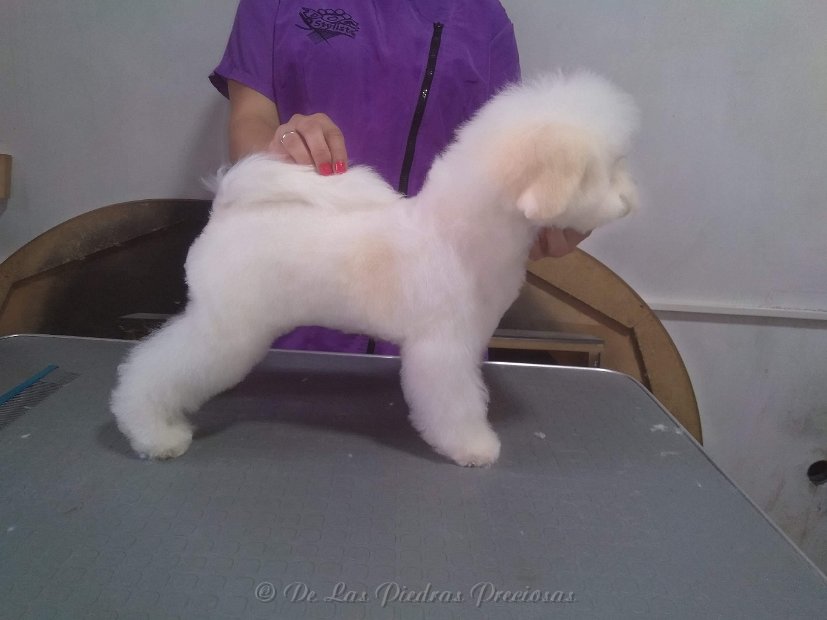 received_10216963780746955