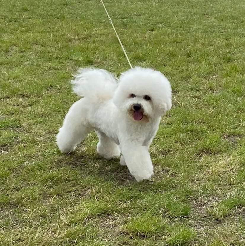 klik om te vergroten Lennox Hašcíková