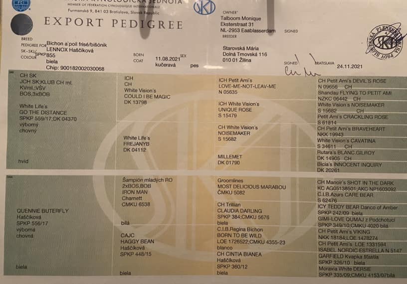 klik om te vergroten Lennox Hašcíková pedigree