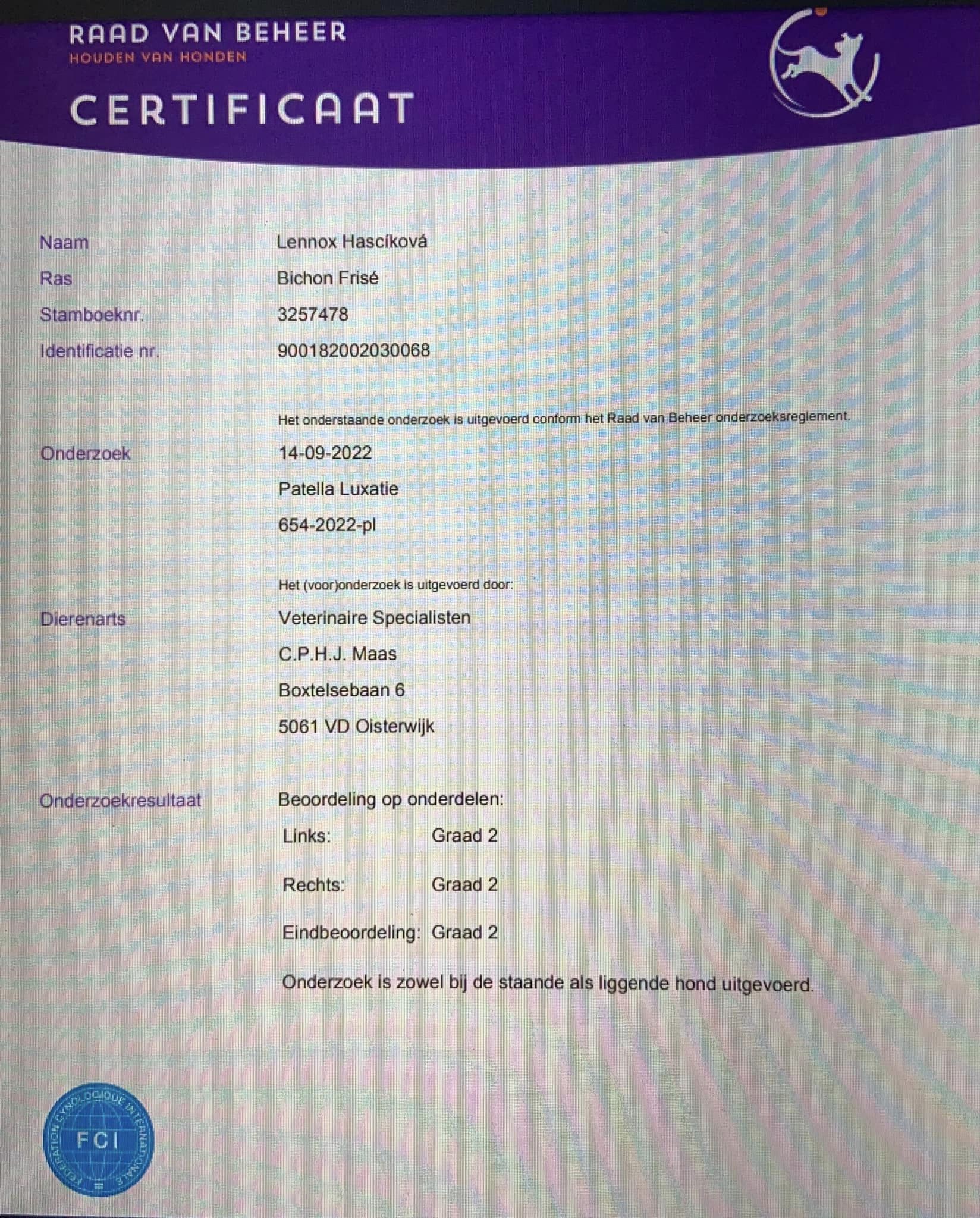 klik om te vergroten Lennox Hašcíková PL results